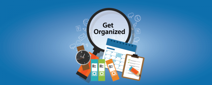 organization - project management skills