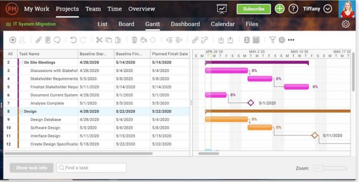 best gantt chart software with iphone support