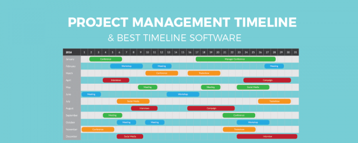 Project Management Timeline Tool