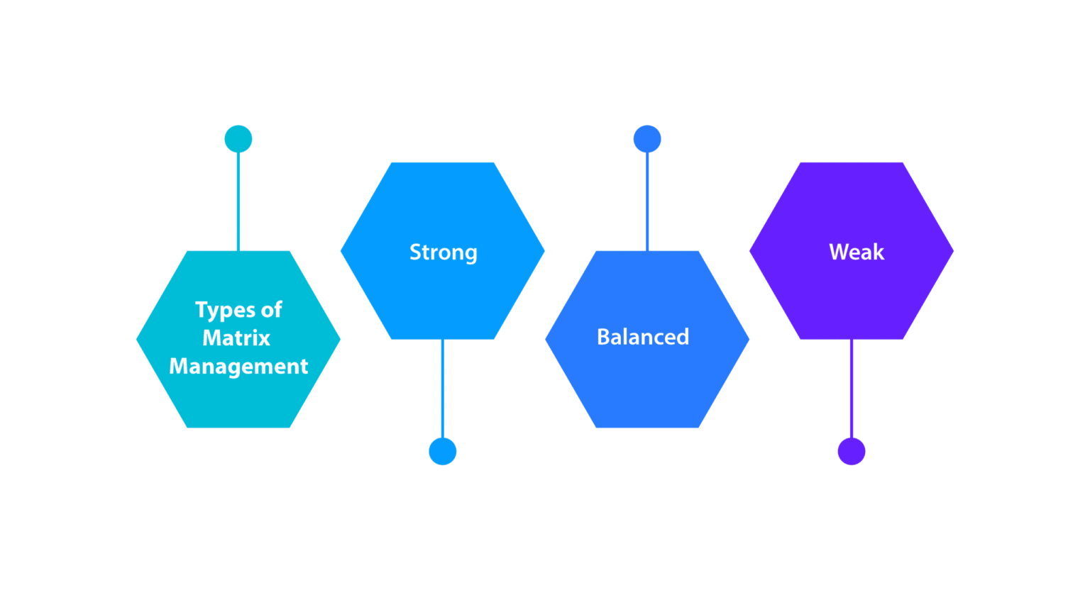 A 2024 Guide On Matrix Organizational Structure And Everything It Contains