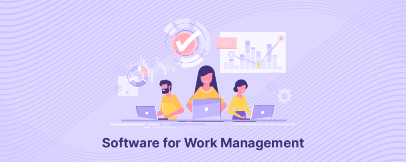 17 Best Software for Work Management in 2023 - nTask